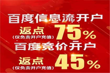 竞价广告赚钱：百度平台案例分析