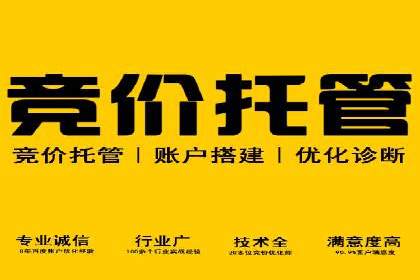SEM竞价优化案例：品牌曝光与转化双提升